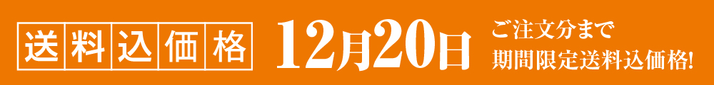 送料込価格１２月２0日まで